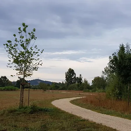 Ferienwohnung Seligenporten 셀리겐포턴